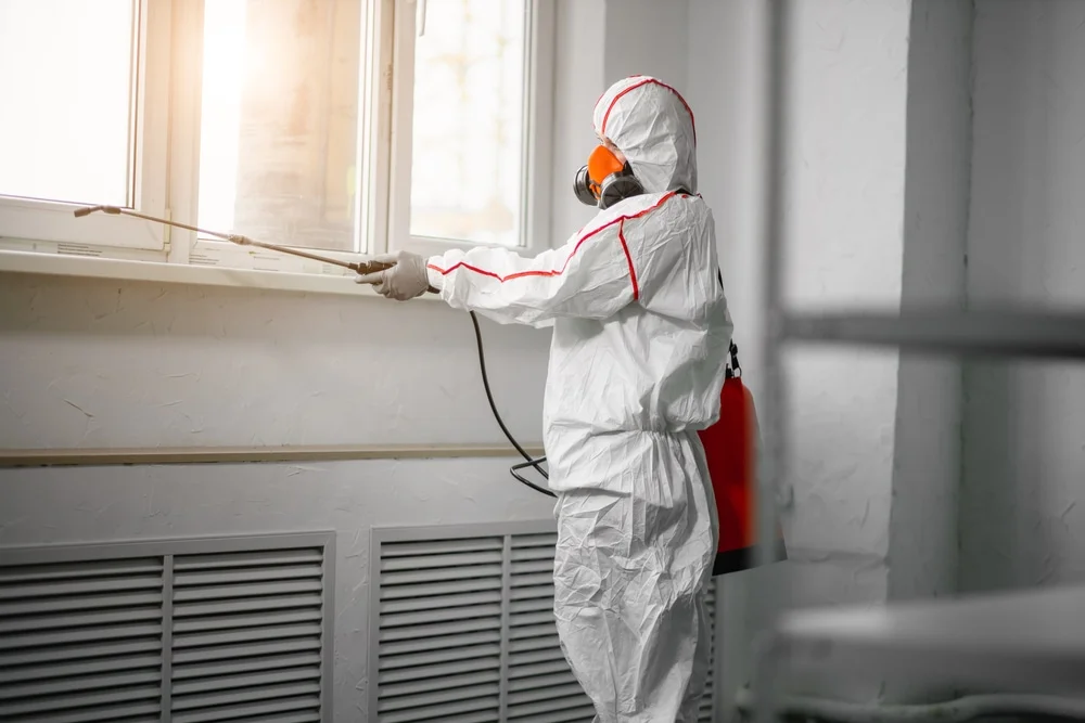 Professional mold remediation services in Paramus, NJ